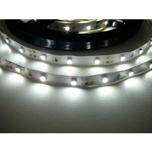 T-LED LED pásik 4, 8W/m 12V bez krytia IP20 Economy Farba svetla: Studená biela 07145 vyobraziť