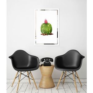 Obraz Kaktus na zrkadle Mirrora 67 - 60x40 cm (Obrazy Mirrora) vyobraziť