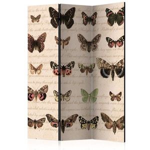 Paraván Retro Style: Butterflies Dekorhome 135x172 cm (3-dielny) vyobraziť