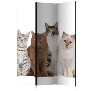 Paraván Sweet Cats Dekorhome 135x172 cm (3-dielny) vyobraziť