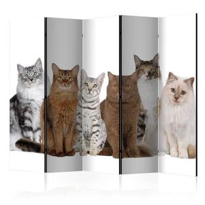 Paraván Sweet Cats Dekorhome 225x172 cm (5-dielny) vyobraziť