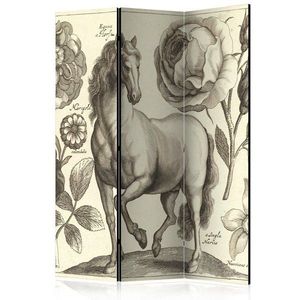 Paraván Horse Dekorhome 135x172 cm (3-dielny) vyobraziť