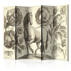 Paraván Horse Dekorhome 225x172 cm (5-dielny) vyobraziť