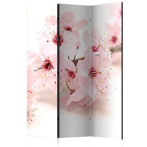 Paraván Cherry Blossom Dekorhome 135x172 cm (3-dielny) vyobraziť