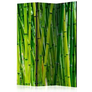 Paraván Bamboo Forest Dekorhome 135x172 cm (3-dielny) vyobraziť