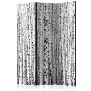 Paraván Birch forest Dekorhome 135x172 cm (3-dielny) vyobraziť