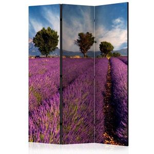 Paraván Lavender field in Provence, France Dekorhome 135x172 cm (3-dielny) vyobraziť