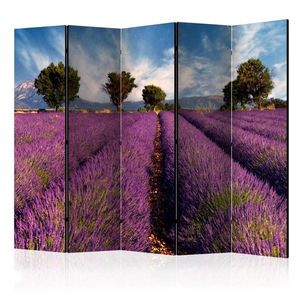 Paraván Lavender field in Provence, France Dekorhome 225x172 cm (5-dielny) vyobraziť