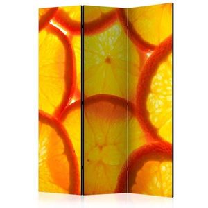 Paraván Orange slices Dekorhome 135x172 cm (3-dielny) vyobraziť