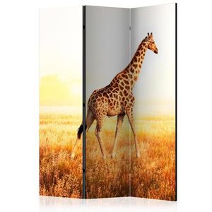 Paraván giraffe - walk Dekorhome 135x172 cm (3-dielny) vyobraziť