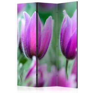 Paraván Purple spring tulips Dekorhome 135x172 cm (3-dielny) vyobraziť