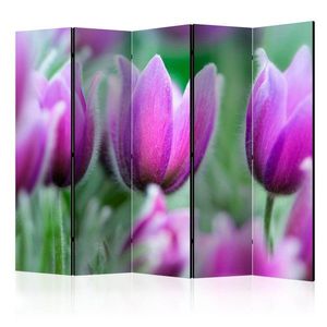 Paraván Purple spring tulips Dekorhome 225x172 cm (5-dielny) vyobraziť