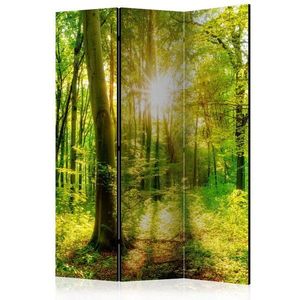 Paraván Forest Rays Dekorhome 135x172 cm (3-dielny) vyobraziť
