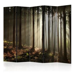 Paraván Coniferous forest Dekorhome 225x172 cm (5-dielny) vyobraziť