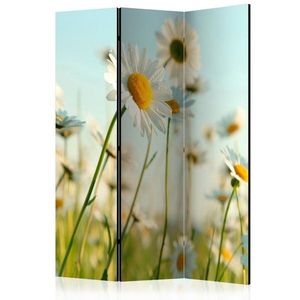 Paraván Daisies - spring meadow Dekorhome 135x172 cm (3-dielny) vyobraziť