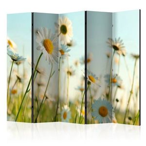 Paraván Daisies - spring meadow Dekorhome 225x172 cm (5-dielny) vyobraziť