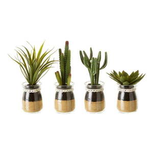 Umelé rastliny v súprave 4 ks (výška 18 cm) Cactus – Casa Selección vyobraziť
