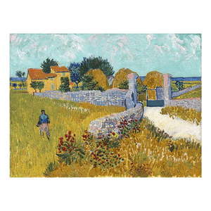 Reprodukcia obrazu Vincenta van Gogha - Farmhouso in Provnce, 40 × 30 cm vyobraziť