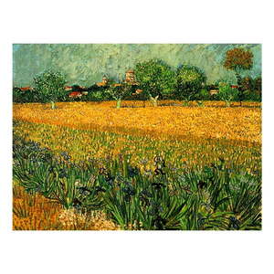 Reprodukcia obrazu Vincenta van Gogha - View of arles with irisos in the foreground, 40 × 30 cm vyobraziť