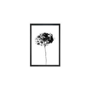Plagát 24x29 cm Velvet Flower - Tablo Center vyobraziť