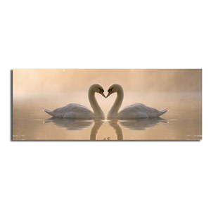 Obraz na plátne Swan Love, 90 × 30 cm vyobraziť