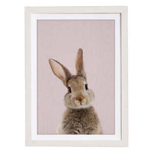 Nástenný obraz v ráme Querido Bestiario Baby Rabbit, 30 x 40 cm vyobraziť