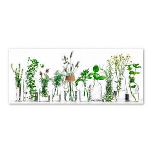 Obraz Styler Glasspik Herbs, 30 × 80 cm vyobraziť