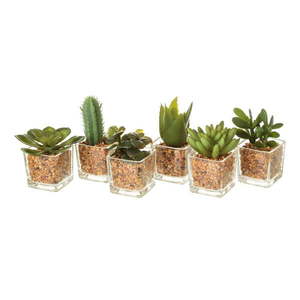 Umelé rastliny v súprave 6 ks (výška 8 cm) Cactus – Casa Selección vyobraziť
