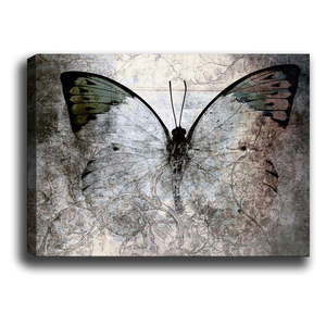 Obraz Tablo Center Fading Butterfly, 70 × 50 cm vyobraziť