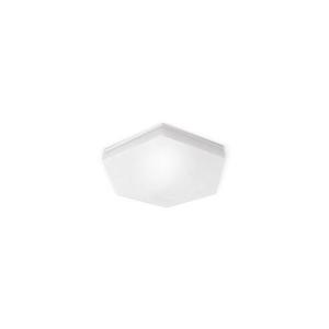 LED Kúpeľňové stropné svietidlo HEXAN LED/24W/230V IP54 vyobraziť