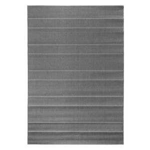 Sivý vonkajší koberec Hanse Home Sunshine, 80 x 150 cm vyobraziť