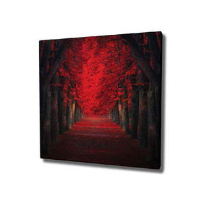 Nástenný obraz na plátne Red Trees, 45 × 45 cm vyobraziť