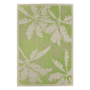 Zeleno-béžový vonkajší koberec Floorita Palms Green, 160 x 230 cm vyobraziť