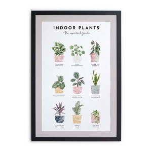 Nástenný obraz v ráme Really Nice Things Indoor Plants, 30 x 40 cm vyobraziť