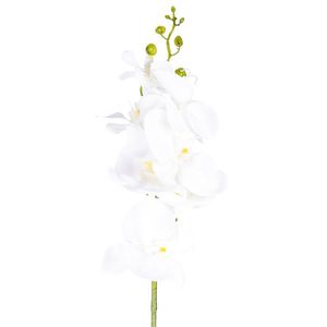 Umelá Orchidea čisto biela, 86 cm vyobraziť