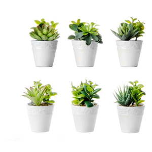 Umelé rastliny v súprave 6 ks (výška 11 cm) – Casa Selección vyobraziť