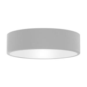 Kúpeľňové stropné svietidlo CLEO 2xE27/24W/230V pr. 30 cm šedá IP54 vyobraziť