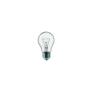 Priemyselná žiarovka CLEAR A55 E27/25W/230V vyobraziť