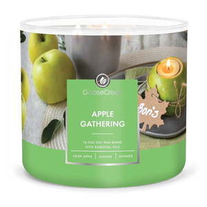 Vonná sójová sviečka doba horenia 35 h Apple Gathering – Goose Creek vyobraziť