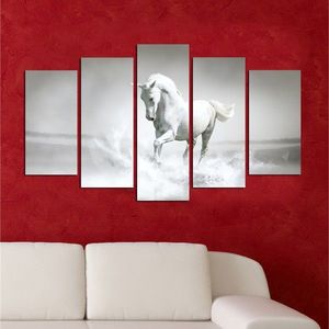 Viacdielny obraz White Horse 110x60 cm vyobraziť