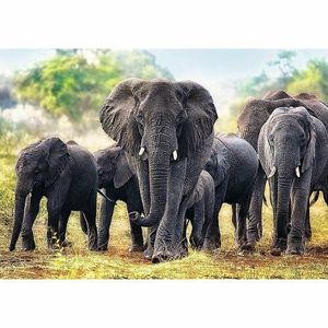 TREFL Puzzle Afričtí sloni 1000 dílků vyobraziť