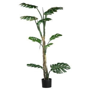 Umelá Rastlina Split Philodendron, V: 175cm vyobraziť