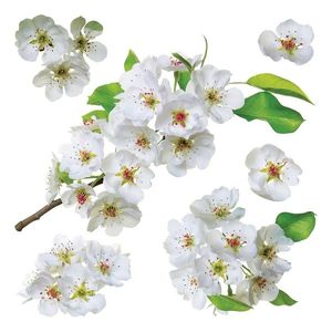 Samolepiaca dekorácia Apple blossom, 30 x 30 cm vyobraziť