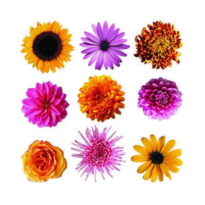Samolepiaca dekorácia Flowers, 30 x 30 cm vyobraziť