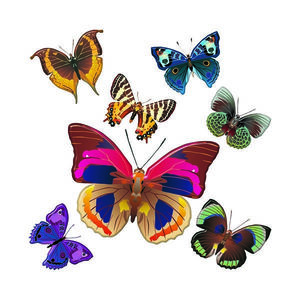 Samolepiaca dekorácia Butterflies, 30 x 30 cm vyobraziť