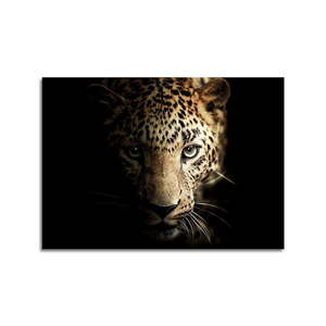 Sklenený obraz 100x70 cm Leopard - Styler vyobraziť