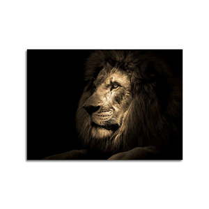 Sklenený obraz 100x70 cm Lion - Styler vyobraziť