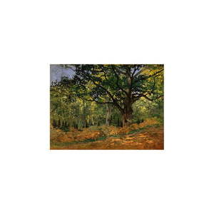 Reprodukcia obrazu Claude Monet - The Bodmer Oak, Fontainebleau Forest, 70 × 50 cm vyobraziť