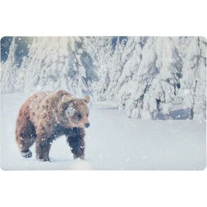 Rohožka Medveď, 38 x 58 cm vyobraziť