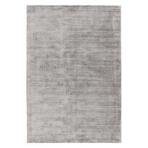 Sivý koberec 170x120 cm Blade - Asiatic Carpets vyobraziť